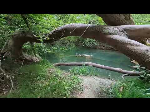 Видео: Чоргунь-Кучки-Алсу по немецкой дороге.