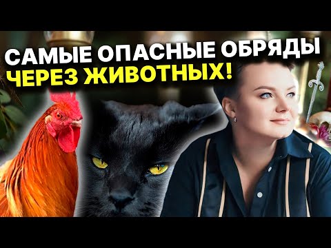 Видео: Как понять, что вашего мужа приворожили? Как снять приворот ?! Анастасия Казачок