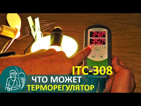 Видео: 🔧 🐔 Терморегулятор Inkbird ITC-308: обзор-видеоинструкция на русском | Технологии Гордеевых | DIY