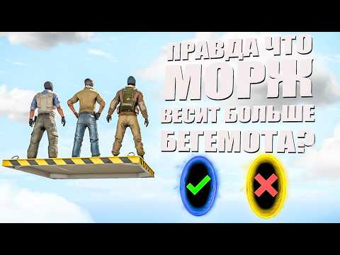 Видео: ОТВЕТЬ НА ВОПРОС И ПРОЙДИ ДАЛЬШЕ! (УГАРНЫЙ ПАРКУР В КС2)