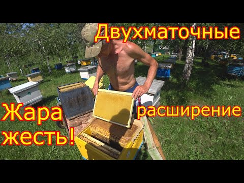 Видео: ДВУХМАТОЧНЫЕ! Расширение. ЖАРА просто ЖЕСТЬ!!!
