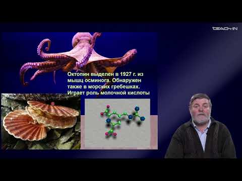 Видео: Чуб В.В. - Молекулярная генетика развития растений - 3. Трансформация растений