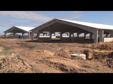 Видео: Сюжет ТСН24: 1,5 млрд рублей направлено на строительство свинокомплекса в Ефремовском районе