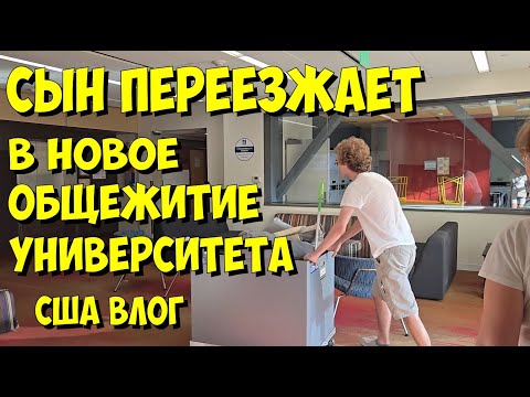 Видео: США. Сын переезжает в новое общежитие университета