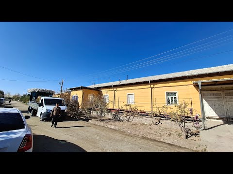 Видео: XONQA FAYZ  в прямом эфире!