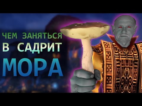 Видео: Чем заняться в САДРИТ МОРА? | The Elder Scrolls III: Morrowind