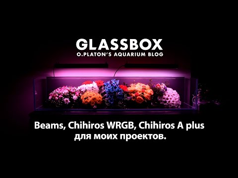 Видео: Аквариумный свет Beams, Chihiros WRGB, Chihiros A plus для моих проектов.