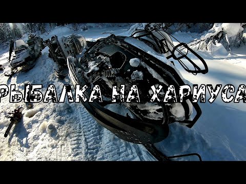 Видео: Рыбалка на хариуса!Утопили снегоход??Еле добрались.Теплая зимняя палатка
