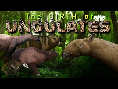 Видео: Ранние копытные и конвергентная эволюция