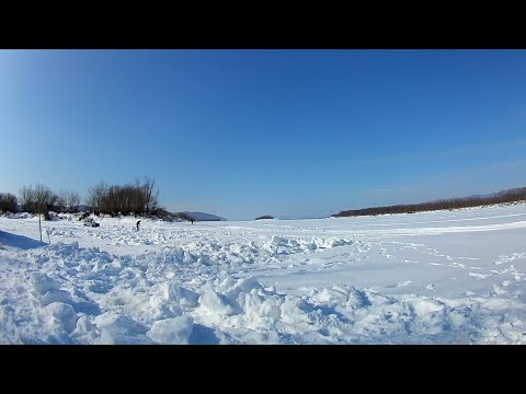 Видео: Рыбалка на Амуре.