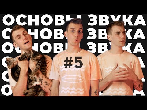 Видео: Фаза - БАЗА | Основы Акустики и Звука | 5 Часть