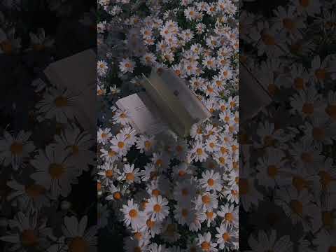 Видео: Лучшие подружки - Алёна Швец ⭐️