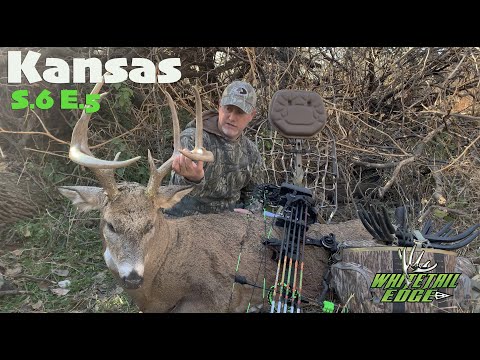 Видео: Бен собирает МНОГО БОЛЬШИХ денег прямо у подножия дерева