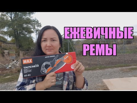 Видео: Ежевика Блэк Джем и другие сорта ремонтантной ежевики. Обсудим?