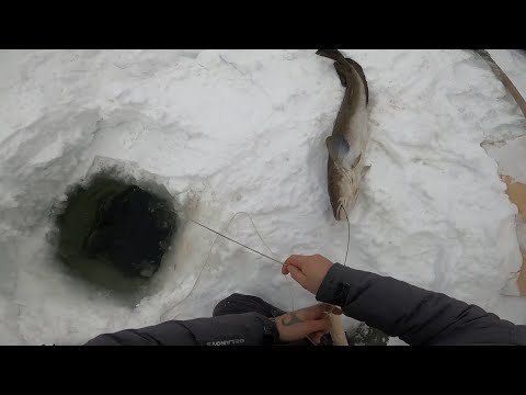 Видео: Рыбалка.Чёрная дыра в ударе.(серия # 48)