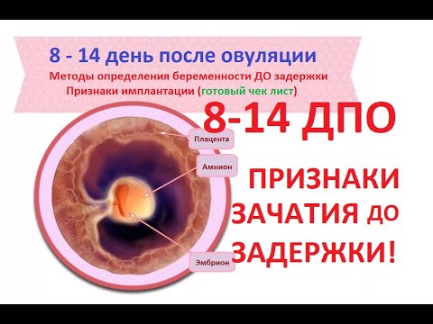 Видео: (🔔 ЧЕКЛИСТ) 👶8-14 ДПО - признаки беременности ДО задержки! 15 симптомов зачатия после овуляции