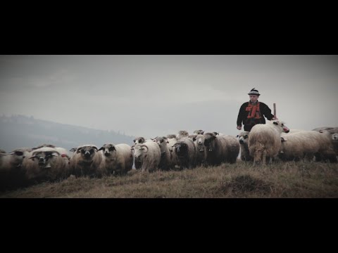 Видео: Аркан - бойовий танець народжений в горах