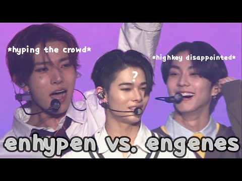 Видео: обжарка и оценка enhypen engenes