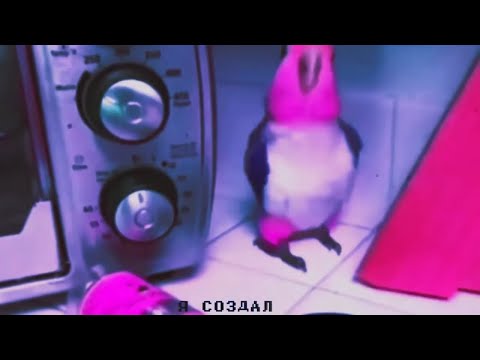 Видео: 🦜HOROSHIYAGNI - я создал тебя сам .10 часов🦜