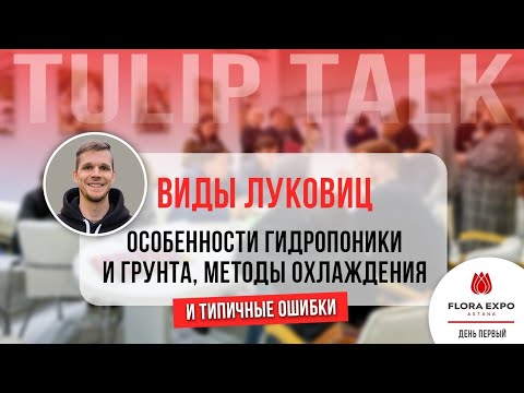 Видео: Луковицы тюльпанов на выгонку: виды, гидропоника и грунт, методы охлаждения.