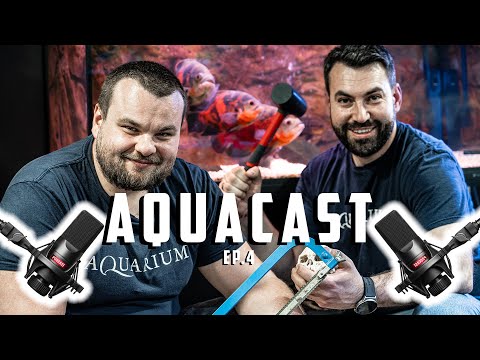 Видео: AQUACAST ep 4 - МИТОВЕ В АКВАРИСТИКАТА