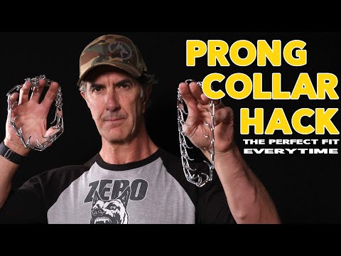 Видео: Микрорегулировка ошейника Prong — идеальная посадка для любой собаки