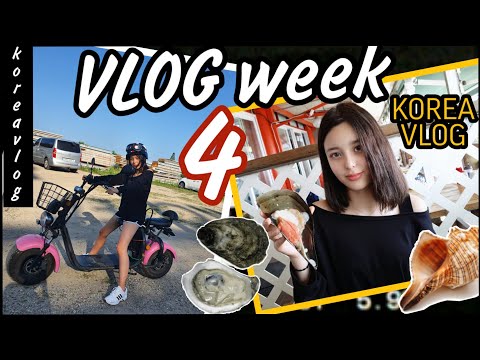 Видео: От уборки до путешествия l 집청소 끝내고 여행가기! l TRIP TO JEBU ISLAND WITH SOPHIE l WEEKLY VLOG 4