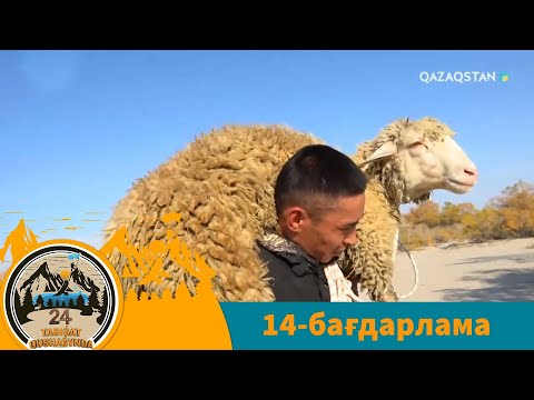 Видео: 24 SAǴAT TABIǴAT QUSHAǴYNDA (24 сағат табиғат құшағында). 14-бағдарлама