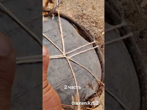 Видео: 28 сентября 2023 г.