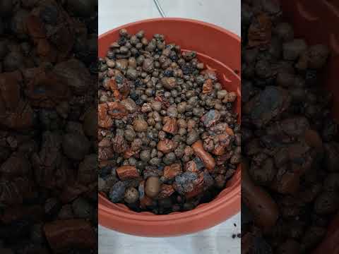 Видео: 22 августа 2025 г.