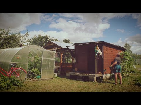 Видео: Беседка почти готова, "Красный дракон воспрял"