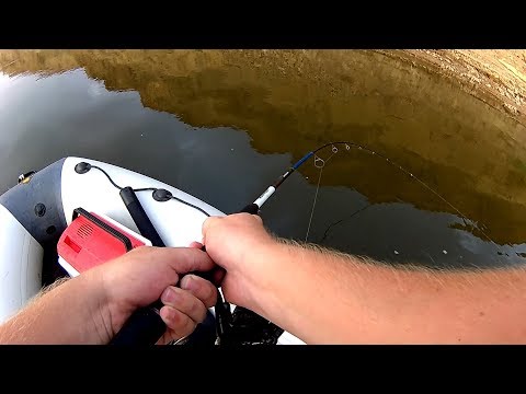 Видео: р. Ахтуба. Идеальная рыбалка с лодки, на вечерней зорьке. Ловля щуки, судака на джиг.