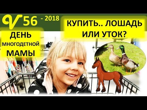 Видео: Магазин в Америке. Как купить утят? Будни многодетной семьи Савченко