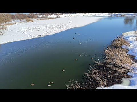 Видео: Мороз и солнце, день чудесный.    5.12.2023г