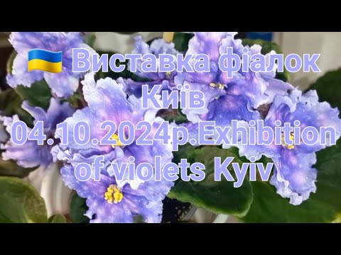 Видео: 🇺🇦 Виставка фіалок Київ 04.10.2024р.Exhibition of violets Kyiv