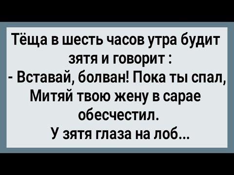Видео: Как Жена в Сарае Под Соседа Легла! Сборник Свежих Анекдотов! Юмор!