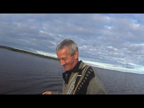 Видео: Арктика! Плоская рыба полезла в сетку!Думаем как утащить!