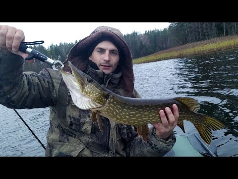 Видео: Как словить щуку на Браславских озёрах, оз. Долгое