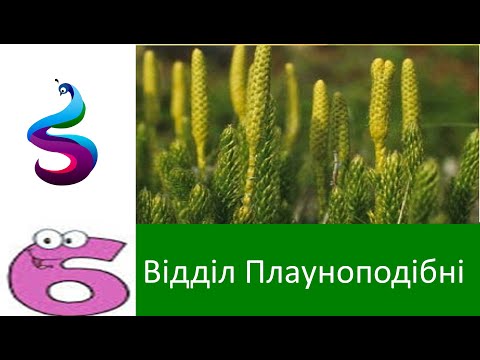 Видео: Відділ Плауноподібні