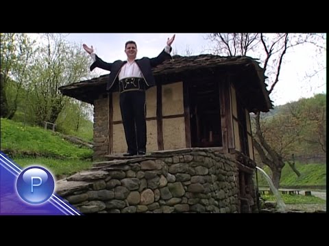 Видео: NIKOLAY SLAVEEV - PROVIKNAL SE DELI DIMO /Николай Славеев - Провикнал се Дели Димо, 2006