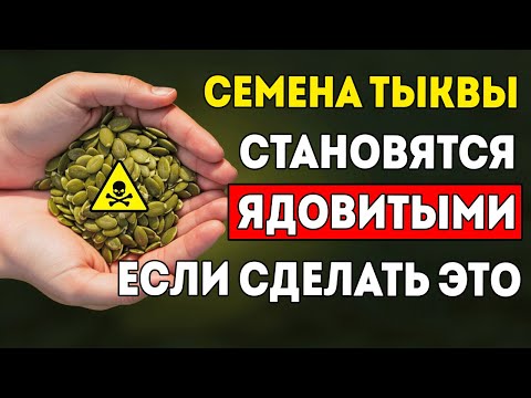 Видео: 8 СМЕРТЕЛЬНЫХ Ошибок При Употреблении СЕМЯН ТЫКВЫ… Избегайте Их Пока Не Поздно!?