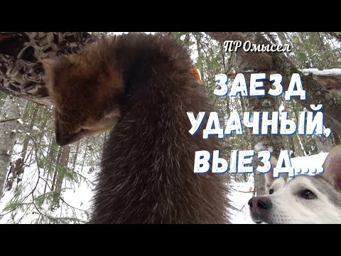 Видео: Это я удачно попал на дальние путики.