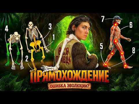 Видео: Почему БОЛИТ СПИНА, КОЛЕНИ и СТОПЫ? ВСЯ ПРАВДА О ПОХОДКЕ и 8 КЛЮЧЕВЫХ движений ДЛЯ ЗДОРОВОЙ ХОДЬБЫ