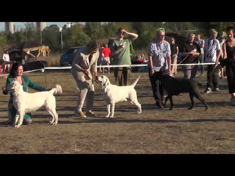 Видео: юниоры Интерканис