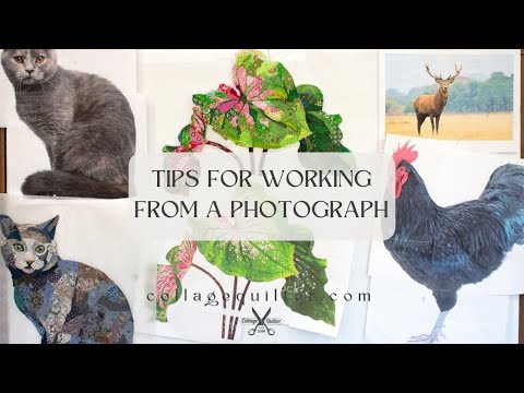 Видео: Советы по созданию коллажа на основе фотографии
