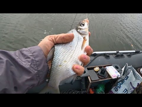 Видео: #Ультралайт или опыт #поплавка против #мормышки. #Рыбалка на #густеру.