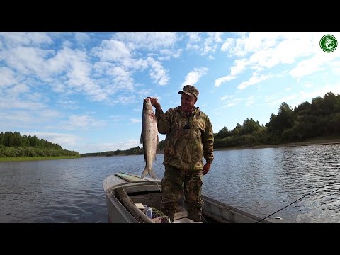 Видео: ТАВДА! И НАСТУПИЛО УТРО! ГОЛОДНАЯ ЩУКА! ЯЗЬ! КРУПНЫЙ ОКУНЬ И ОГРОМНАЯ РЫБИНА! РЫБАЛКА НА СПИННИНГ!