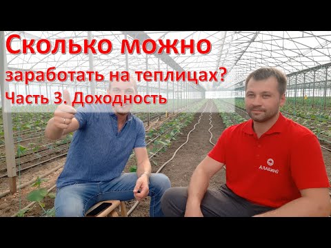 Видео: Тепличный бизнес, часть 3. Доходность и окупаемость.