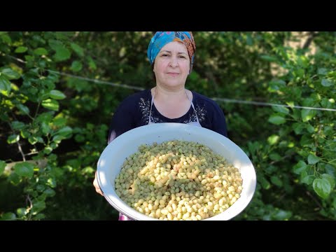 Видео: Готовим варенье и дошаб из шелковицы | Tut bəkməzi və mürəbbəsi | Making mulbarry preserve and jam.