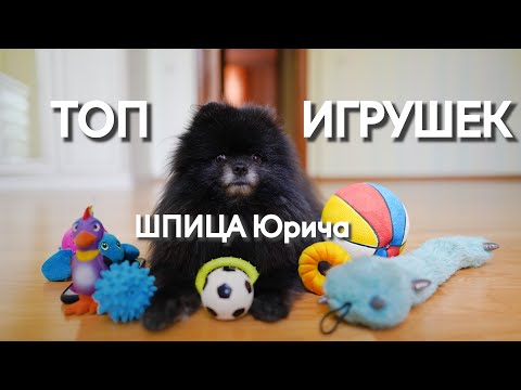 Видео: ТОП ИГРУШЕК ШПИЦА ЮРИЧА !!!